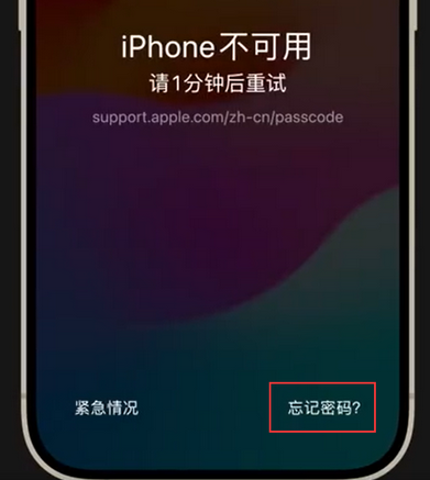 霍州苹果手机密码维修分享iPhone忘记了刚设置的密码 