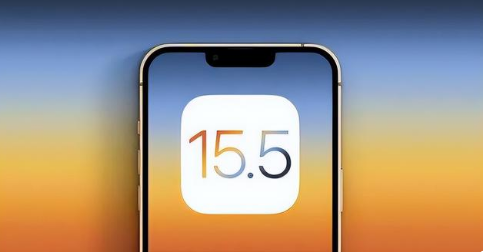霍州苹果手机维修分享iOS15.5 RC版升级建议 