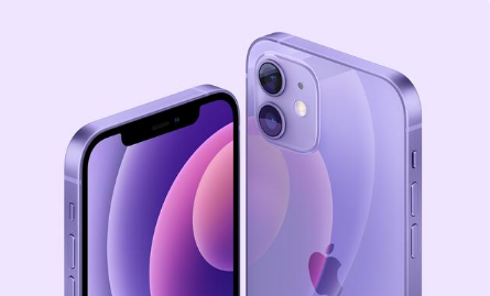 霍州苹果手机维修分享紫色版iPhone 12有什么技术亮点 